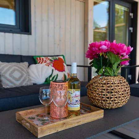 Dragon Bay-saphira Daire Drage